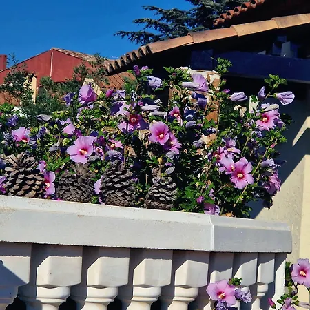 Anthea * Сен-Рафаель