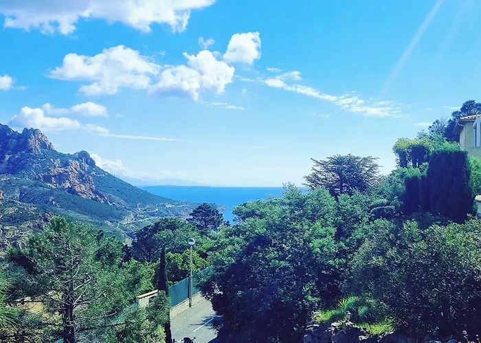 Anthea Saint-Raphaël