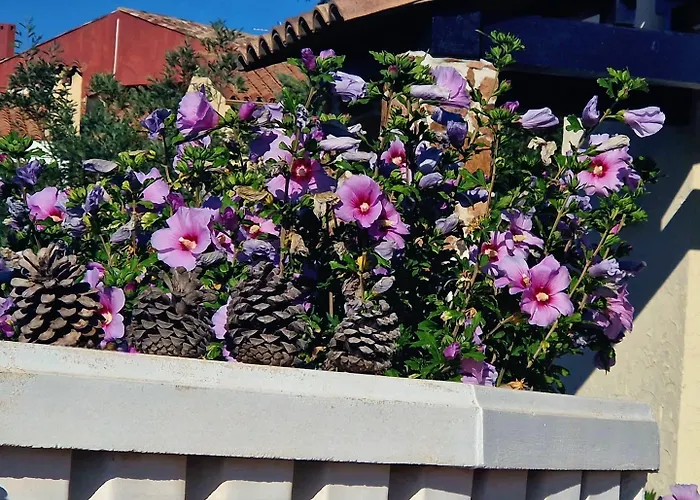 Anthea * Saint-Raphaël