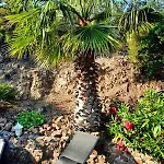 Villa Anthea Saint-Raphael (Var)