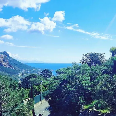 Anthea Сен-Рафаэль