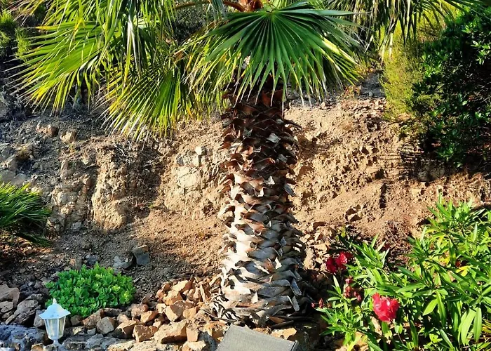 Villa Anthea Saint-Raphaël